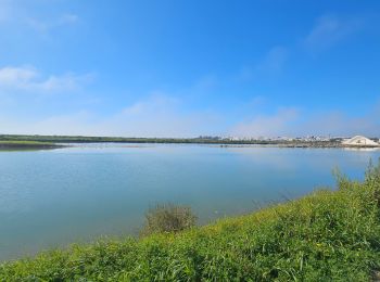 Excursión Cicloturismo  - Tavira Faro - Photo