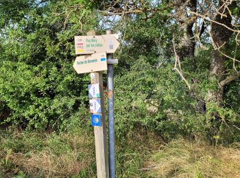 Randonnée Marche Murat - 2025-07-23 Murat - Le Lioran  - Photo