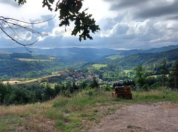 Trail Walking Chanteuges - pebrac - Photo