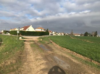 Randonnée Marche Santeny - Périgny Varennes Jarcy Villemeneux - Photo