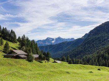 Randonnée A pied Scuol - Griosch - Fimberpass - Photo