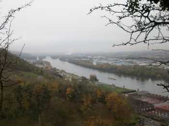 Randonnée Marche Amfreville-la-Mi-Voie - 20221129-Amfreville la mi voie - Photo