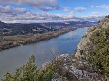 Randonnée Marche Donzère - Donzère et le défilé de Donzère 8km. - Photo