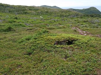 Tour Wandern Saint-Pierre - telegr - Photo