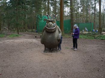 Randonnée A pied West Suffolk - Fir Trail - Photo