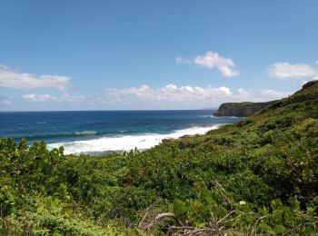 Tour Wandern Le Moule - Porte d'Enfer - Anse Gros Morne - Photo