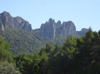 Trail Mountain bike Bédoin - Tour des dentelles depuis Bédoin  VTT AE - Photo