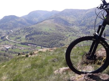 Tocht Mountainbike Ramonchamp - les belvédères de la Haute vallée de la Moselle - Photo