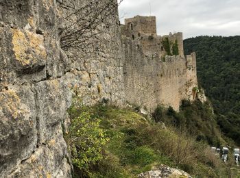 Tour Wandern Camps-sur-l'Agly - 20211009 Labastide Camps d’Agli- Puilaurens - Photo