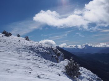 Randonnée Raquettes à neige Bouvante - Les gagères en raquettes - Photo