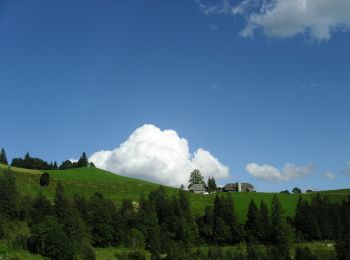 Randonnée A pied Sumiswald - Lüderenalp - Hohmattgäatterli - Photo