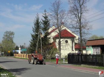 Percorso A piedi Chodków - Lasy Puszczy Stromieckiej - wojna - Photo