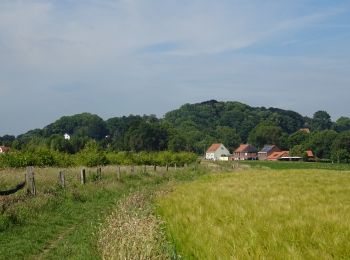 Trail Electric bike Godewaersvelde - Les hauts de Flandres - Les monts - Photo