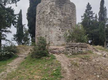 Randonnée Marche Calvisson - Calvisson Les 3 moulins - Photo