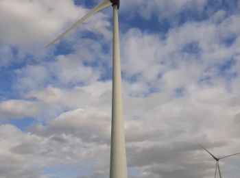 Tour Wandern Pont-à-Celles - Cadeau, les Bois, Gare - Photo