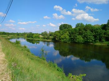 Randonnée Marche Savonnières - Savonnières - Berthenay - 9.5km 40m 2h00 - 2017 04 23 - Photo