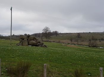 Trail Walking Prinsuéjols-Malbouzon - prinsueljols-aubrac etape st Jacques  - Photo