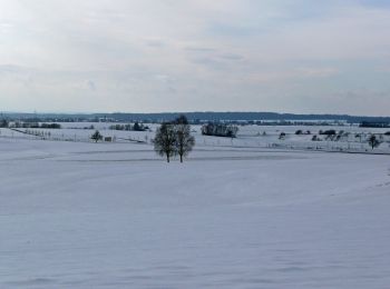 Excursión A pie Aidlingen - Gärtringer Rundweg 2 - Photo