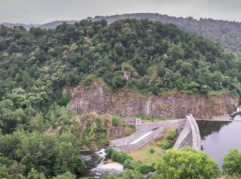 Tour Zu Fuß Pampelonne - Ciruit du Château de Thuriès et du Viaur - Photo