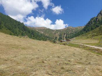 Tour Wandern Toblach - Silverstertal - Valle San Silvestro - Photo