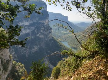 Tocht Stappen Saint-Julien-en-Vercors - 26 Vercors Boucle des belvédères - Photo