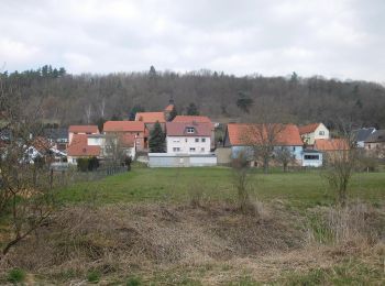 Tour Zu Fuß Bad Bibra - Bibertalweg - Photo