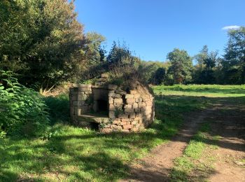 Excursión Paseo ecuestre Marzan - La Vilaine Peaule - Photo