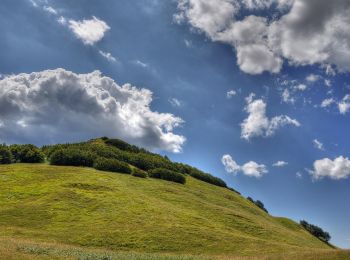 Percorso A piedi Ventasso - La Gabellina - Sorgenti del Secchia - Sella di Monte Casarola - Rifugio Rio Pascolo - Photo