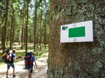 Tocht Stappen Libin - Lesse - Entre Lesse et Lomme - Photo