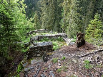 Randonnée A pied Thomatal - Wanderweg 69, Höllweg Bundschuh, Thomatal - Photo