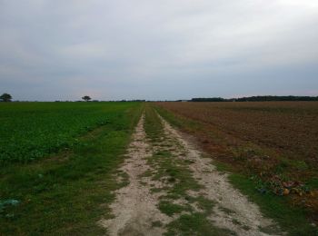 Tour Wandern Saint-Branchs - Saint-Branchs - les Boissières Chemin du Rail - 8.3km 35m 1h45 - 2023 09 27 - Photo