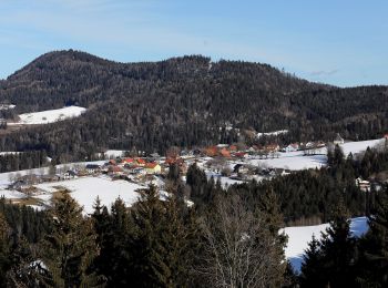 Tour Zu Fuß Semriach - Wanderweg 16 - Photo