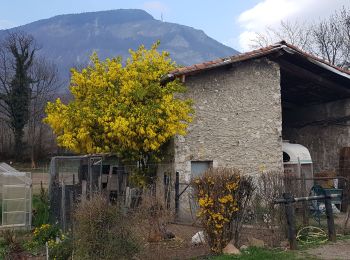 Excursión Marcha nórdica Sassenage - Les Batteries de Sassenage par le Mimosa de Clémencières - Photo