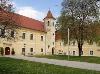 Tocht Te voet Gemeinde Atzenbrugg - Schubertrunde - Photo