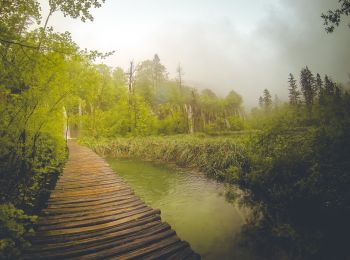 Tour Zu Fuß  - Nacionalni park Plitvička jezera - Photo