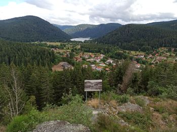 Trail Mountain bike Gérardmer - Gérardmer Martimprey - Photo