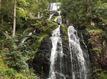 Randonnée Marche Le Tholy - La grande cascade du Tendon au départ du Grand Caillou. - Photo