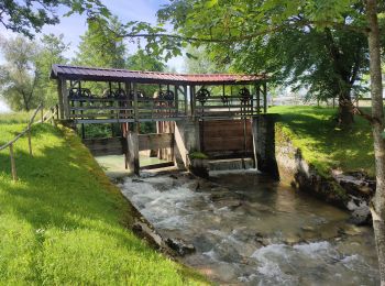 Tocht Elektrische fiets Leutkirch im Allgäu - Centerparcs Allgäu - Kisslegg - Photo