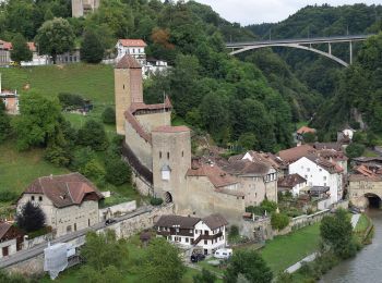 Tocht Te voet Fribourg - Freiburg - Schönberg - Maggenberg - Photo