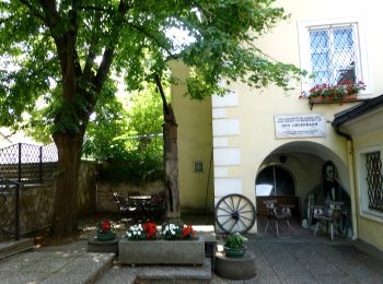 Tocht Te voet Gemeinde Hinterbrühl - Hinterbrühl - Weißenbach - Höllenstein - Photo