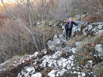 Tocht Stappen Entrelacs - CHAMBOTTE : SENTIER DU BOGNON - retour par le haut des falaises - Photo