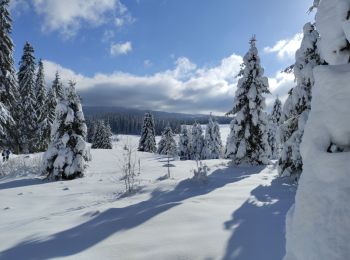 Tour Schneeschuhwandern Chapelle-des-Bois - la grotte de Pierre -rando raquettes -1140 m - Photo