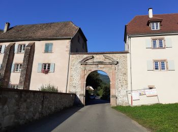 Trail Walking Murbach - Murbach (Grand Ballon) 18 060m +1 100m - Photo