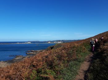 Trail Walking Trédrez-Locquémeau - les falaises de Tredrez - Photo