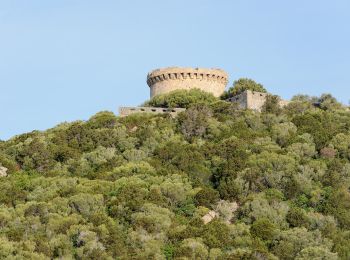 Randonnée A pied Belvédère-Campomoro - Boucle de Manna Mulina - Photo