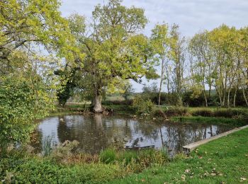 Excursión Senderismo Limours - Essonne_Tour_des_Fermes_de_la_Prédecelle - Photo