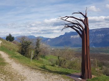 Excursión Senderismo Vatilieu - Les Crêtes de Vatilieu - Photo