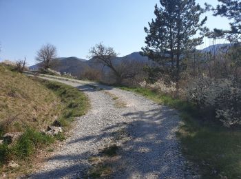 Tour Wandern Furmeyer - La Lauze de Pennes - Photo