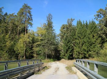 Tocht Te voet Haselsdorf-Tobelbad - Haselsdorf-Tobelbad 1 - Photo