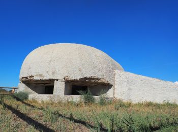 Tocht Te voet Santa Pola - [GR 232] Vuelta al término de Santa Pola - Photo